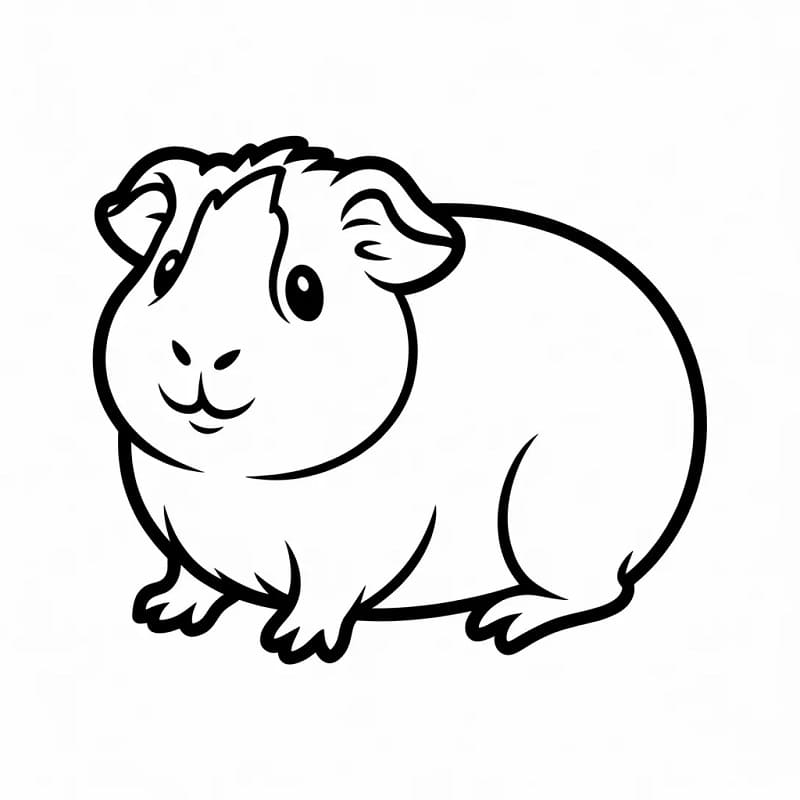 Fise de colorat cu Cobai de colorat p23