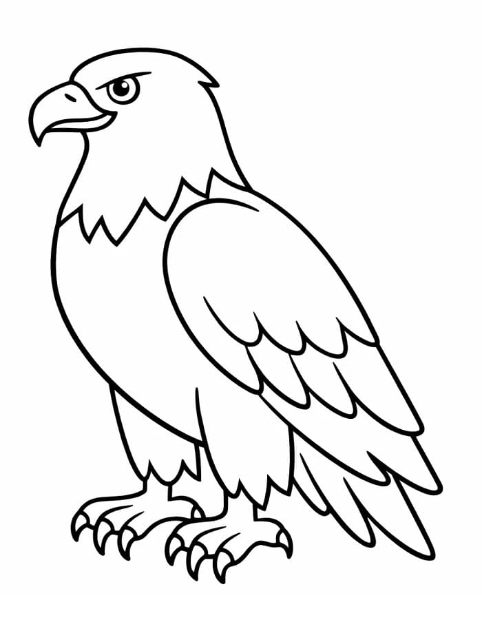 Fise de colorat cu Vulturi de colorat p08