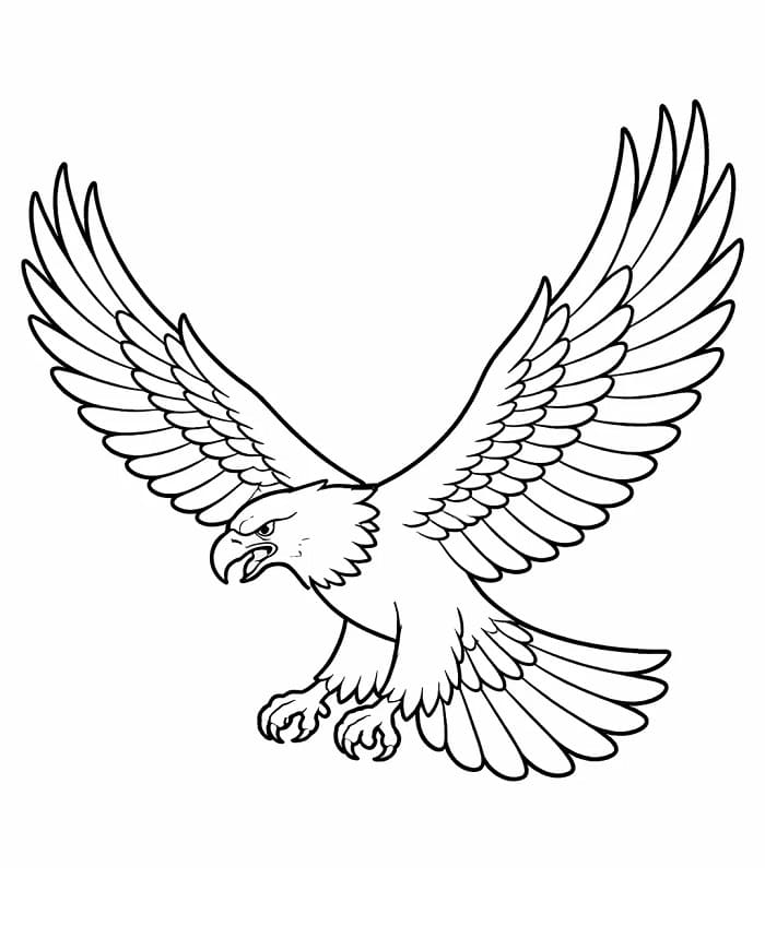 Fise de colorat cu Vulturi de colorat p12
