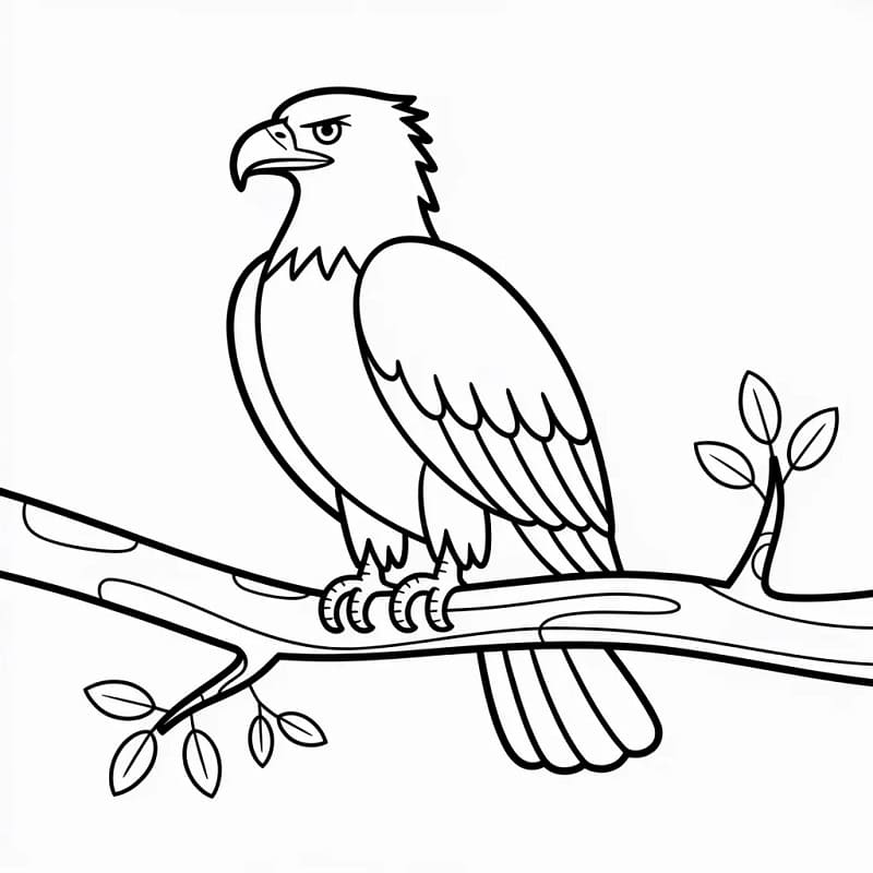 Fise de colorat cu Vulturi de colorat p13