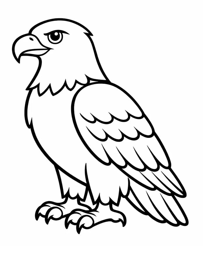 Fise de colorat cu Vulturi de colorat p14