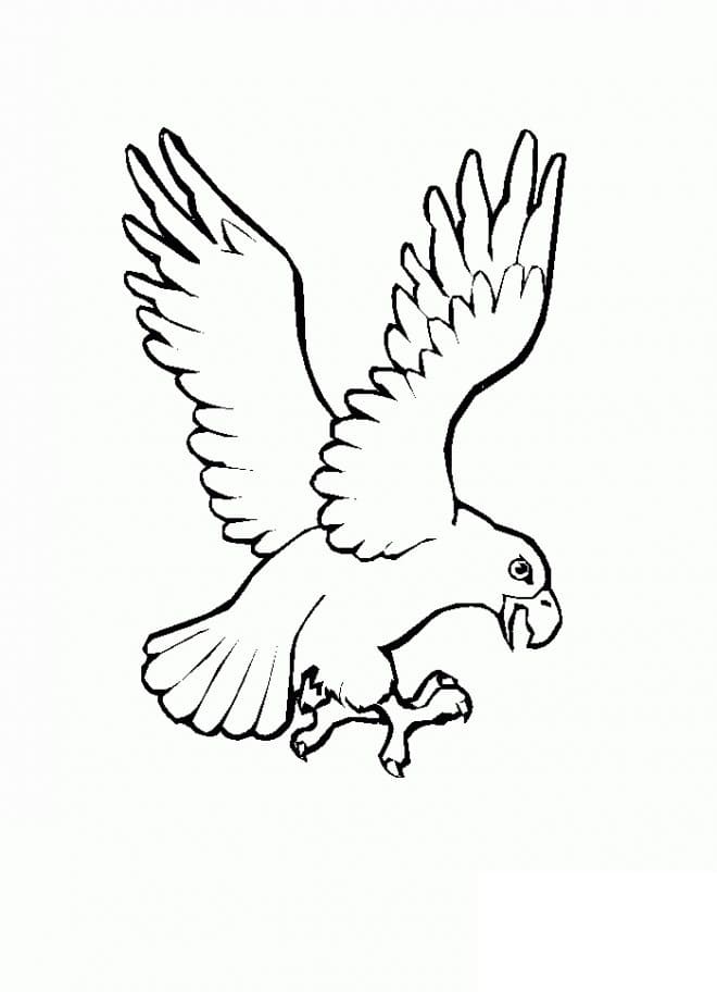 Fise de colorat cu Vulturi de colorat p26