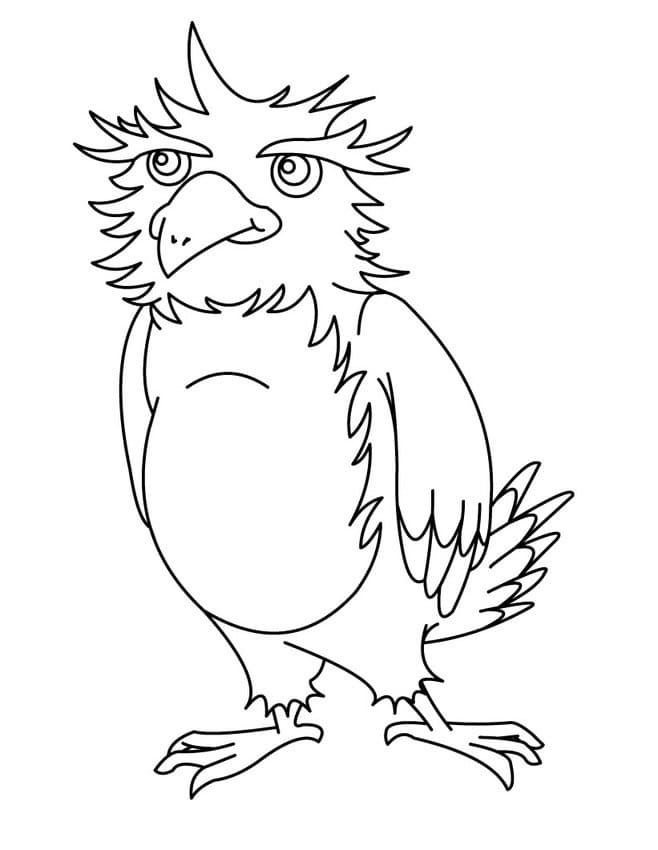 Fise de colorat cu Vulturi de colorat p30