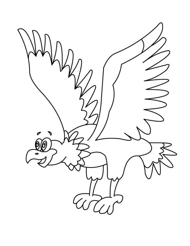 Fise de colorat cu Vulturi de colorat p36