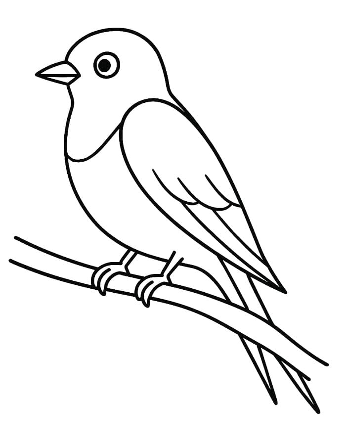 Fise de colorat cu Imagine gratuită cu rândunică