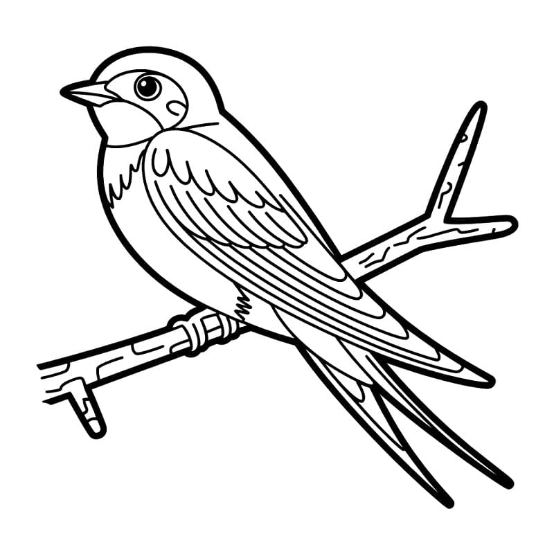 Fise de colorat cu Imagine rândunică pentru imprimare