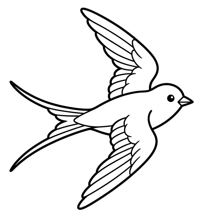 Fise de colorat cu O rândunică drăguță