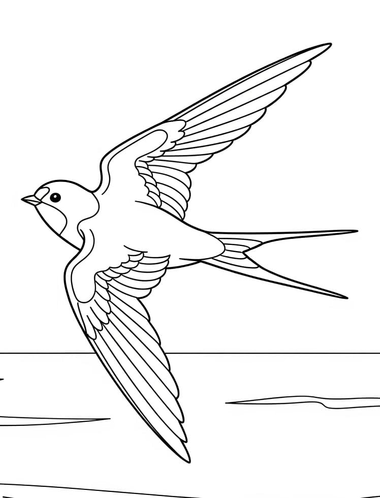 Fise de colorat cu Pasăre rândunică