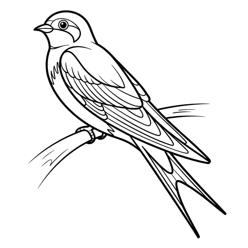 Fise de colorat cu Rândunică de tipărit gratuit