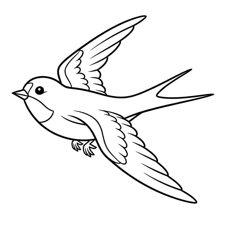 Fise de colorat cu Rândunică de tipărit