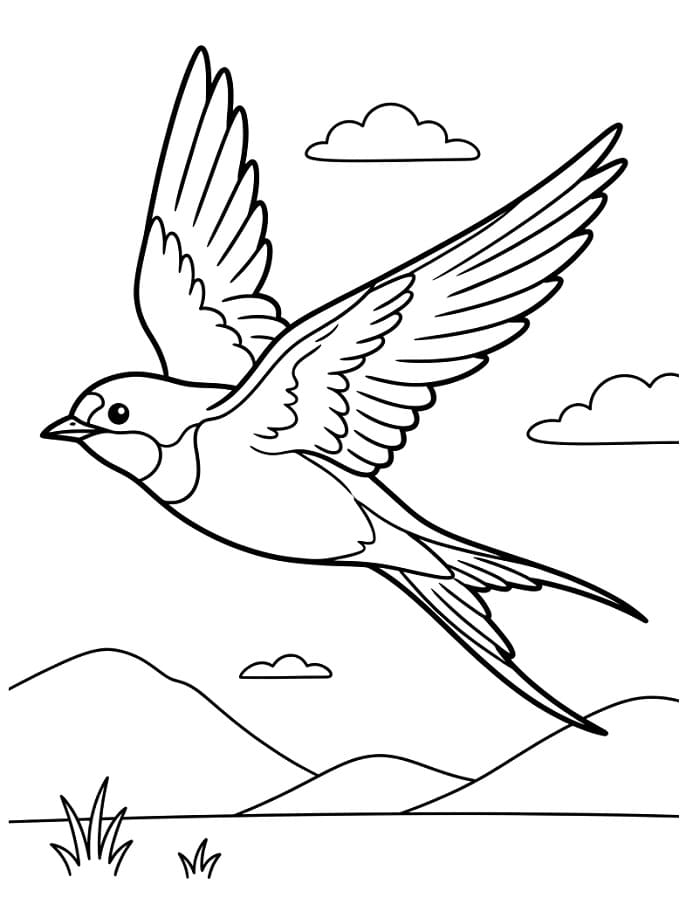 Fise de colorat cu Rândunică obișnuită