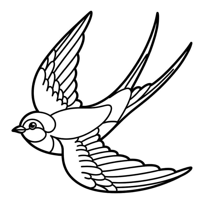 Fise de colorat cu Rândunică pentru copii de 4 ani