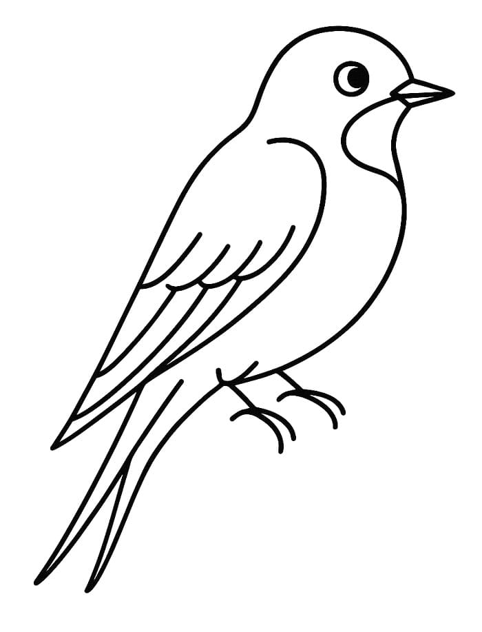 Fise de colorat cu Rândunică pentru copii de 5 ani