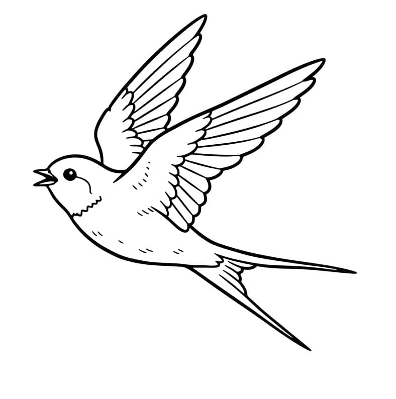 Fise de colorat cu Rândunică pentru copii de 6 ani