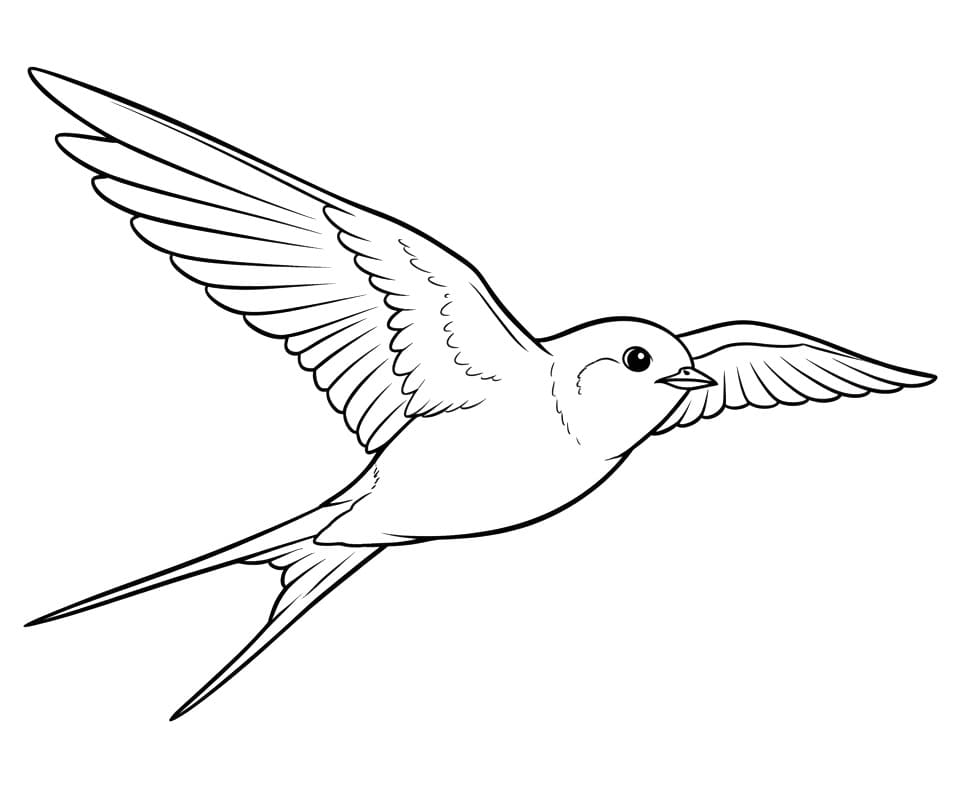 Fise de colorat cu Rândunică pentru copii