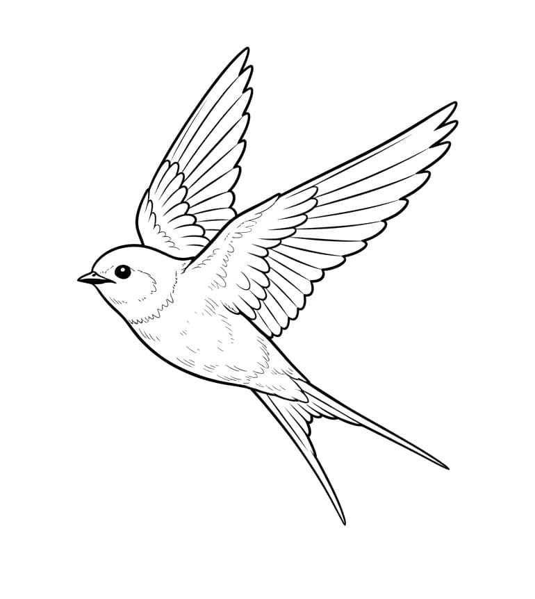 Fise de colorat cu Rândunică pentru tipărire