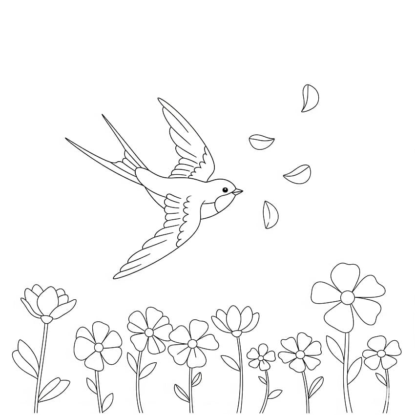 Fise de colorat cu Rândunică simplă