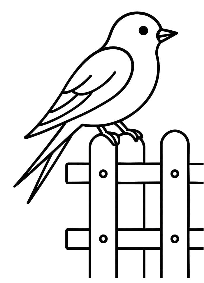 Fise de colorat cu Rândunică ușoară