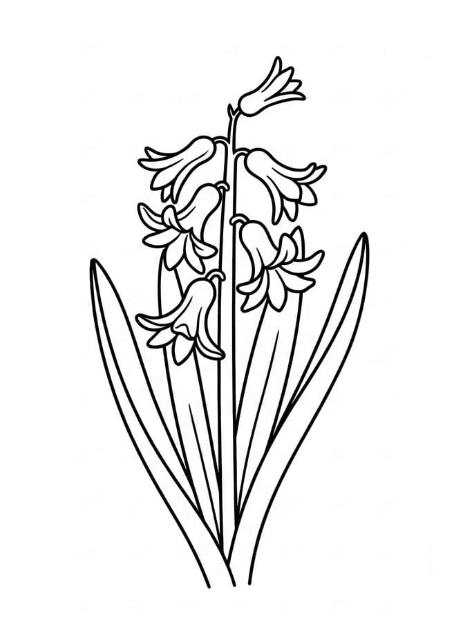 Fise de colorat cu Zambile de colorat p03