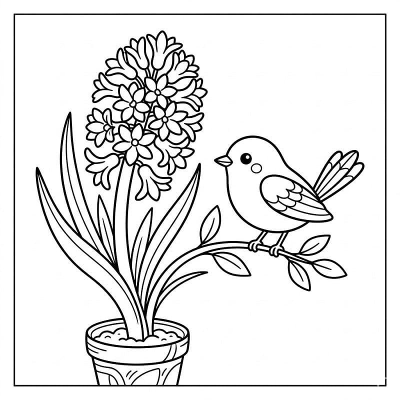 Fise de colorat cu Zambile de colorat p05