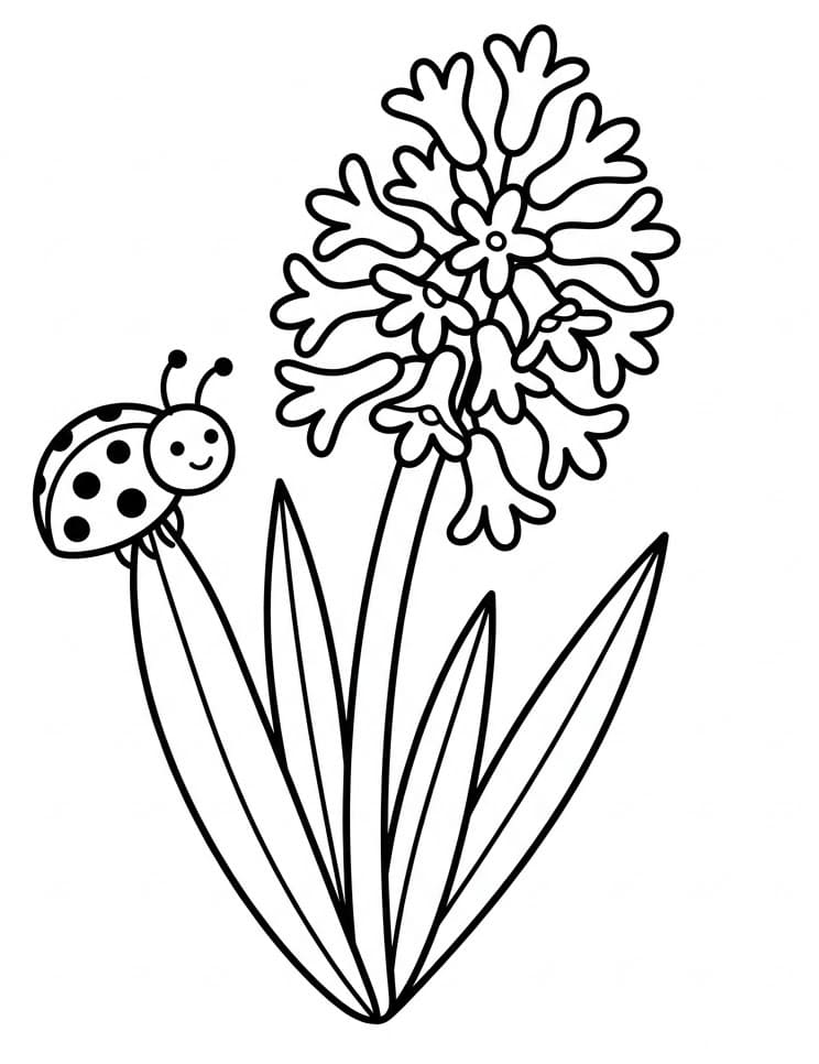 Fise de colorat cu Zambile de colorat p08