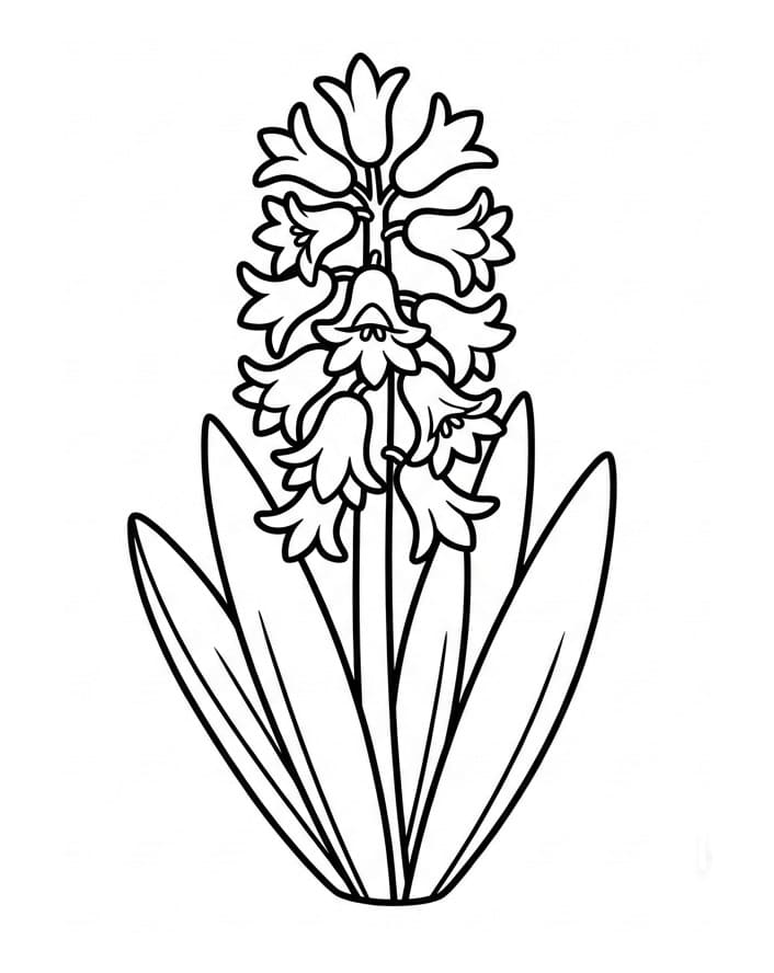 Fise de colorat cu Zambile de colorat p11