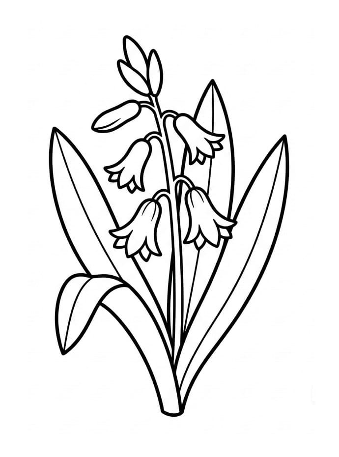 Fise de colorat cu Zambile de colorat p13