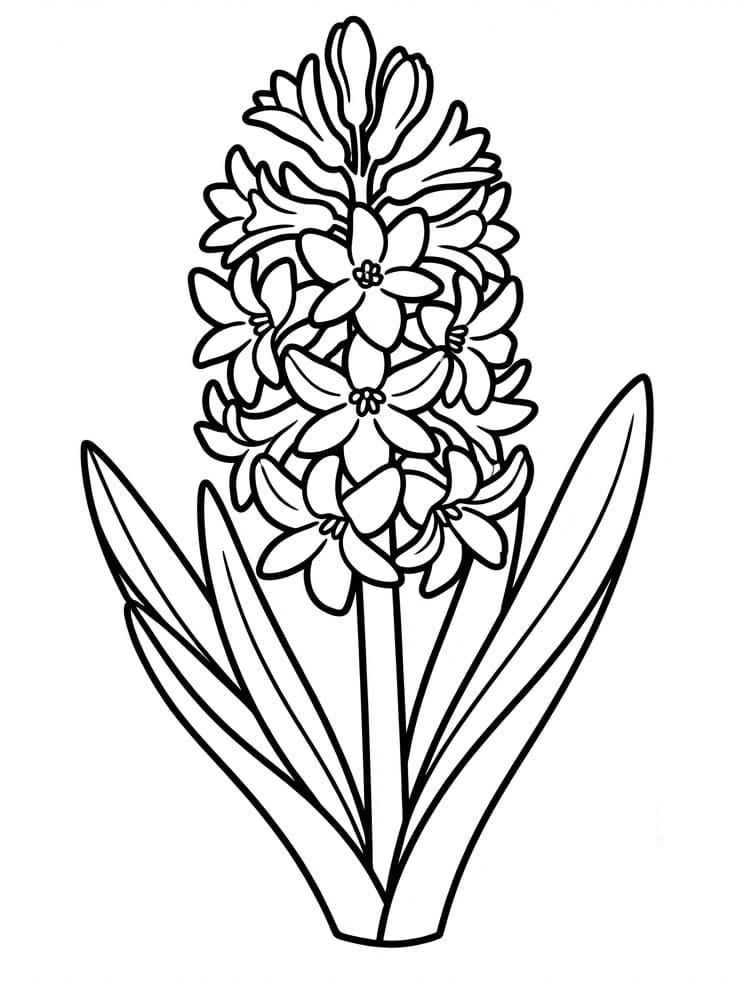 Fise de colorat cu Zambile de colorat p14