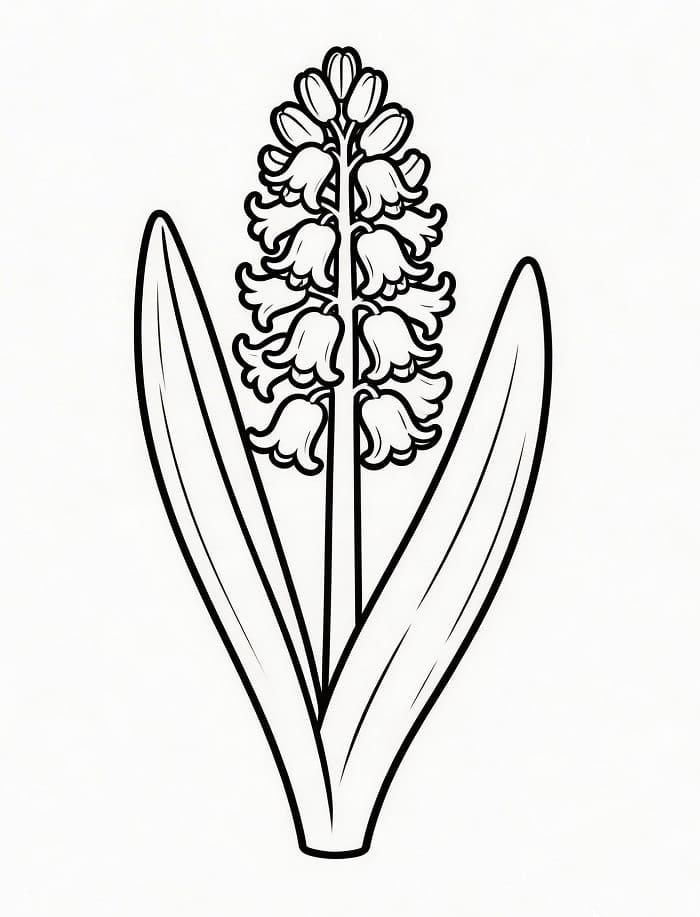 Fise de colorat cu Zambile de colorat p15