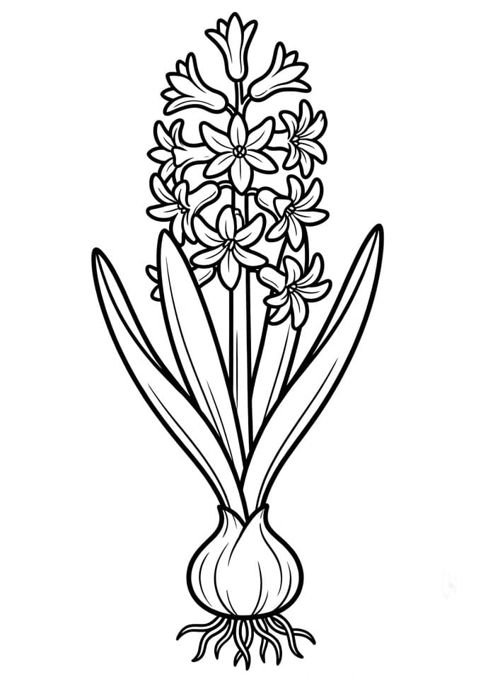 Fise de colorat cu Zambile de colorat p16