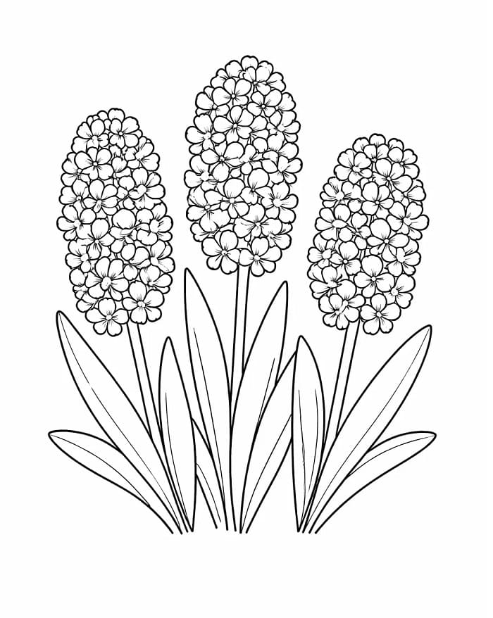 Fise de colorat cu Zambile de colorat p23