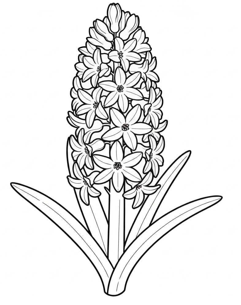 Fise de colorat cu Zambile de colorat p27