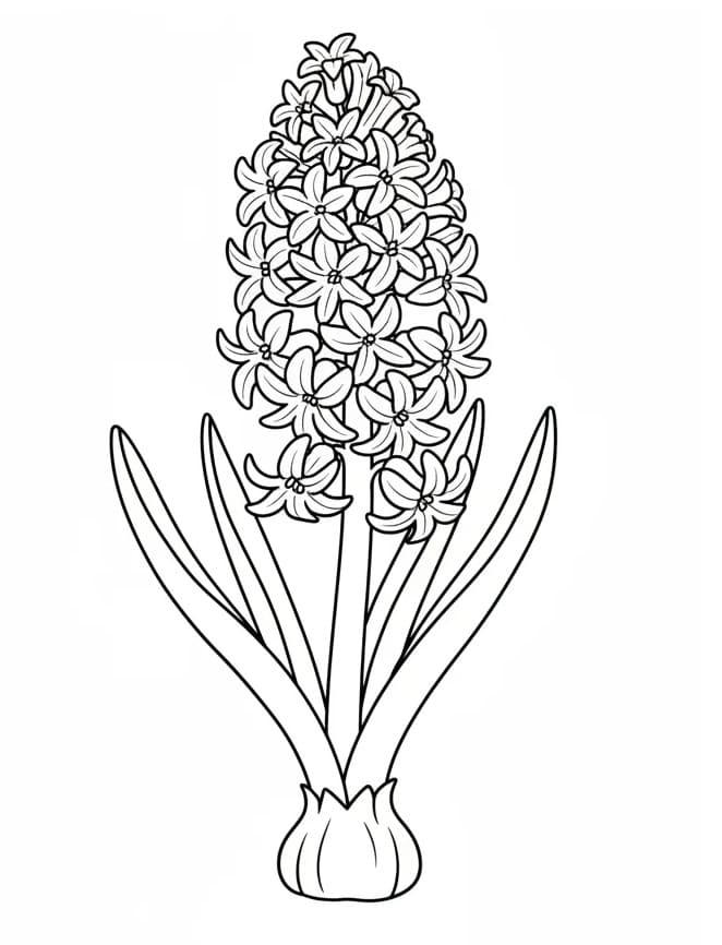 Fise de colorat cu Zambile de colorat p28