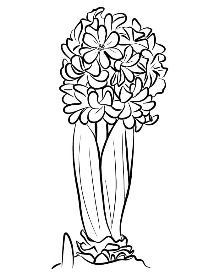 Fise de colorat cu Zambile de colorat p29