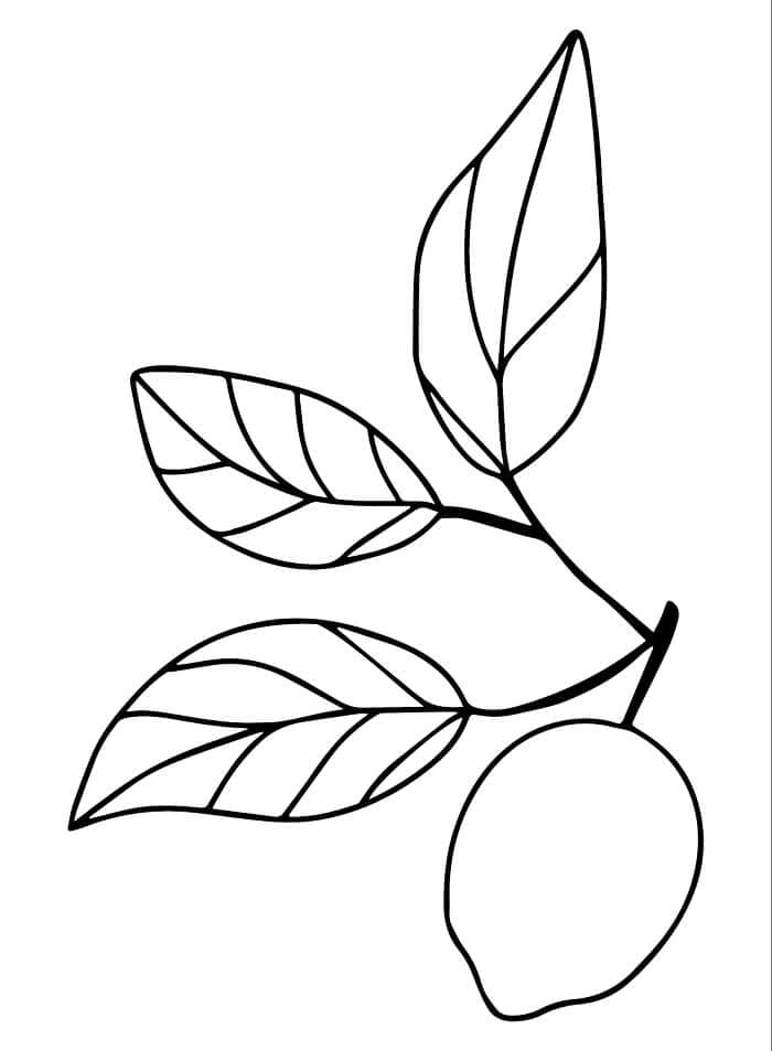Fise de colorat cu Imagine gratuită cu lămâie