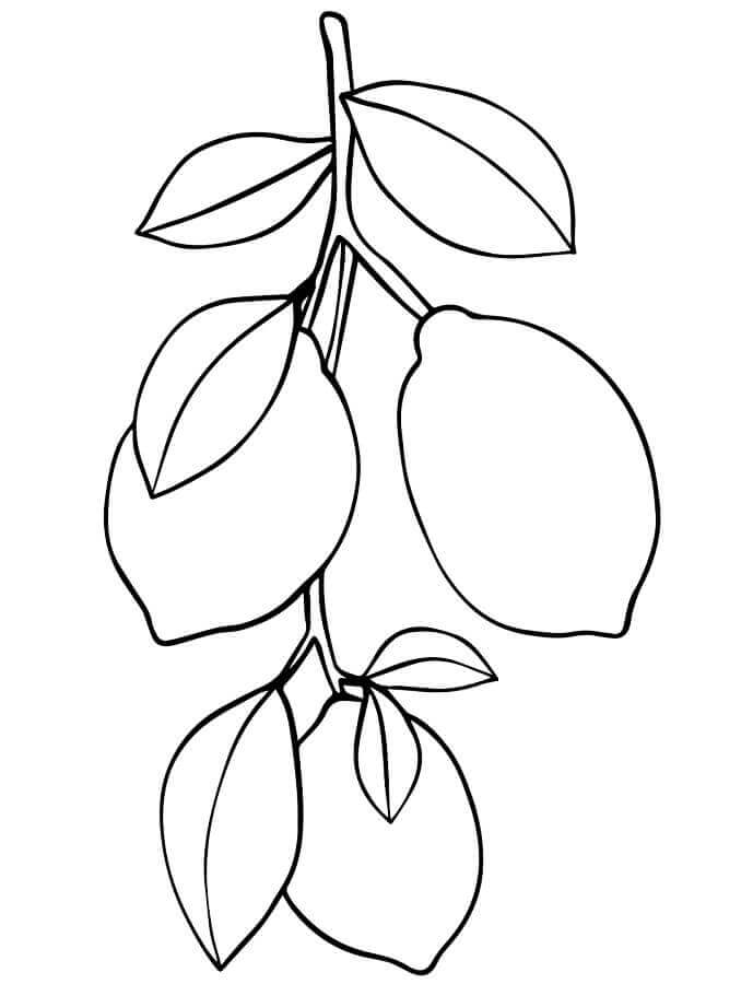 Fise de colorat cu Lămâie de tipărit gratuit