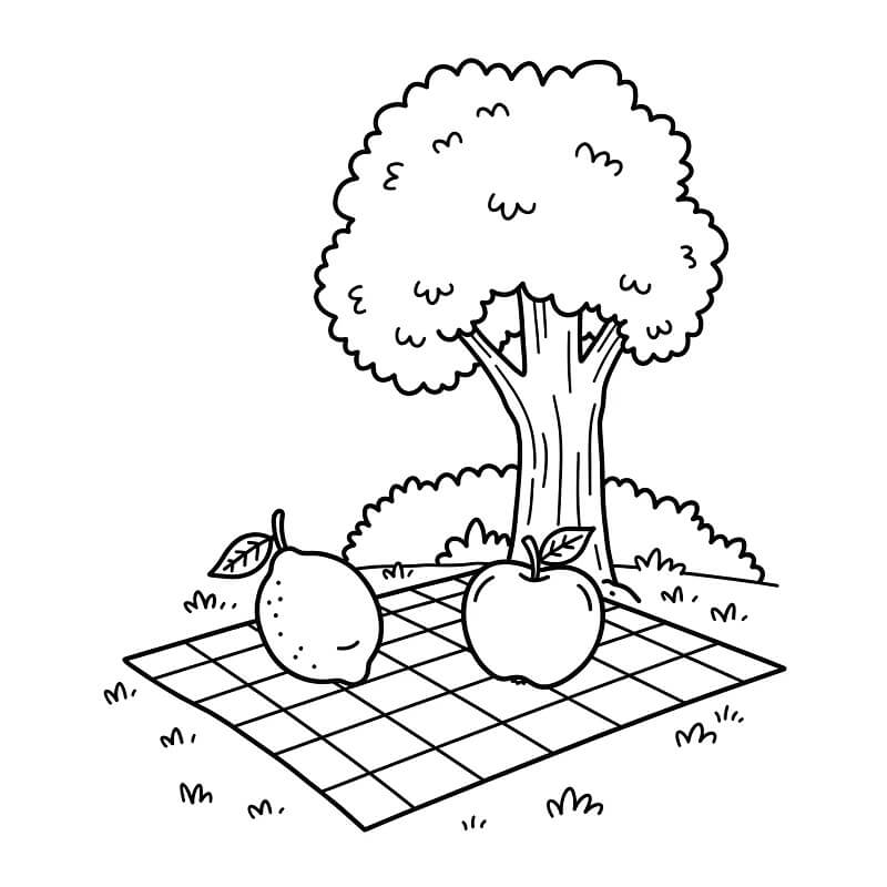 Fise de colorat cu Lămâie pentru copii de 1 an