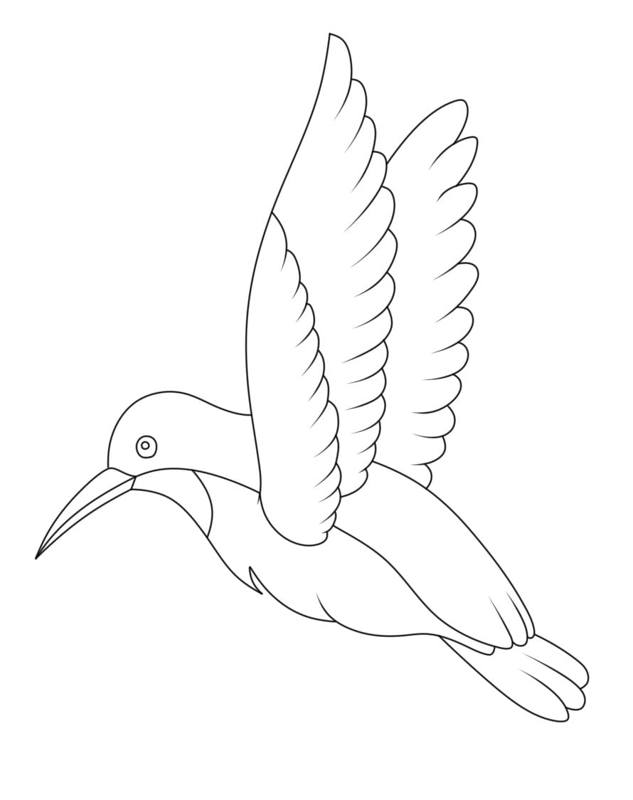 Fise de colorat cu Colibri adorabil