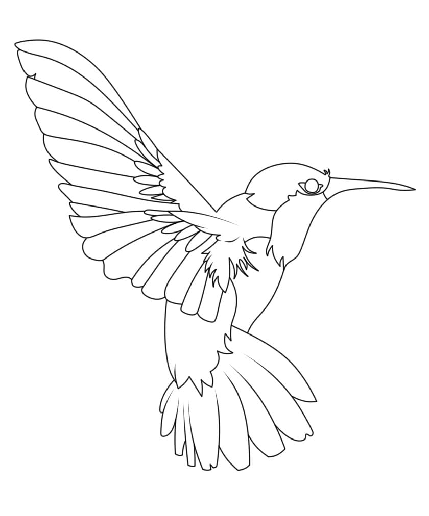 Fise de colorat cu Colibri cool
