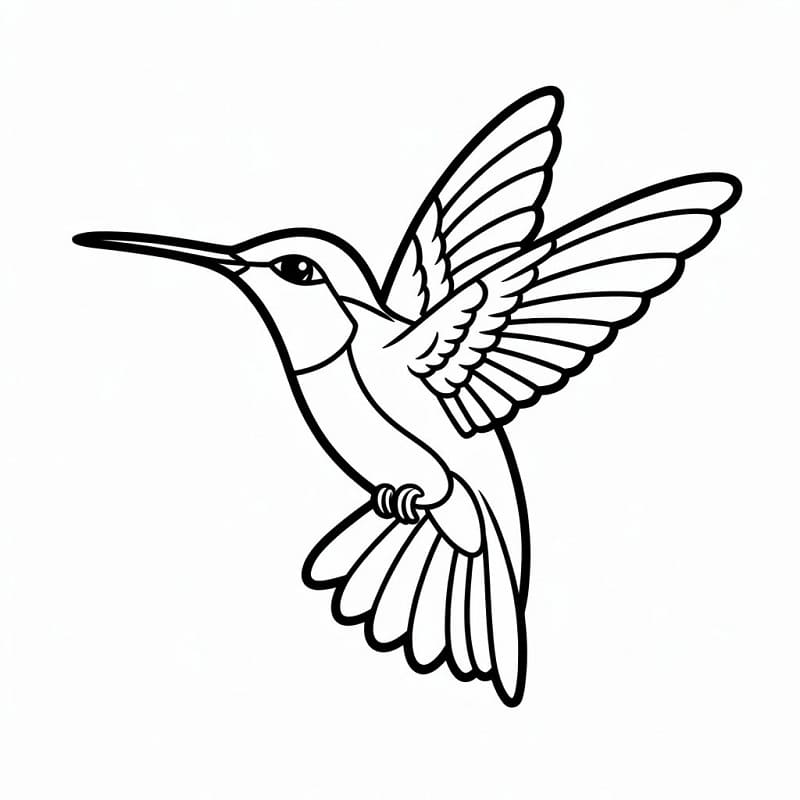 Fise de colorat cu Colibri de tipărit