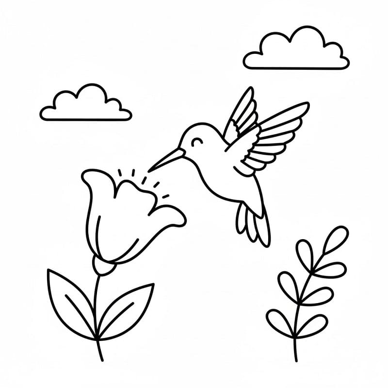 Fise de colorat cu Colibri drăguț