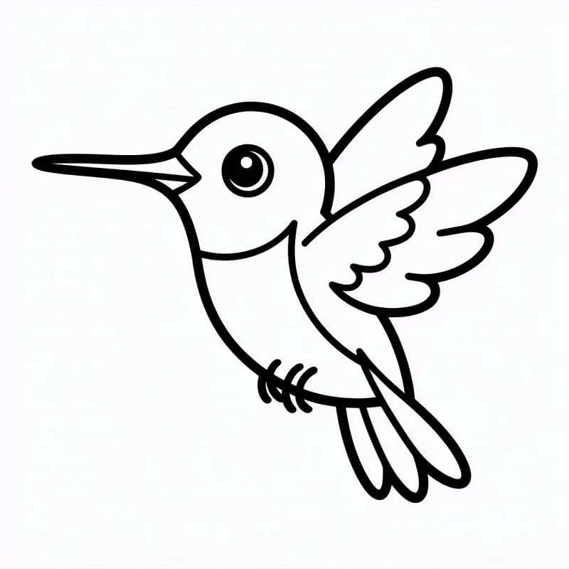 Fise de colorat cu Colibri extraordinar
