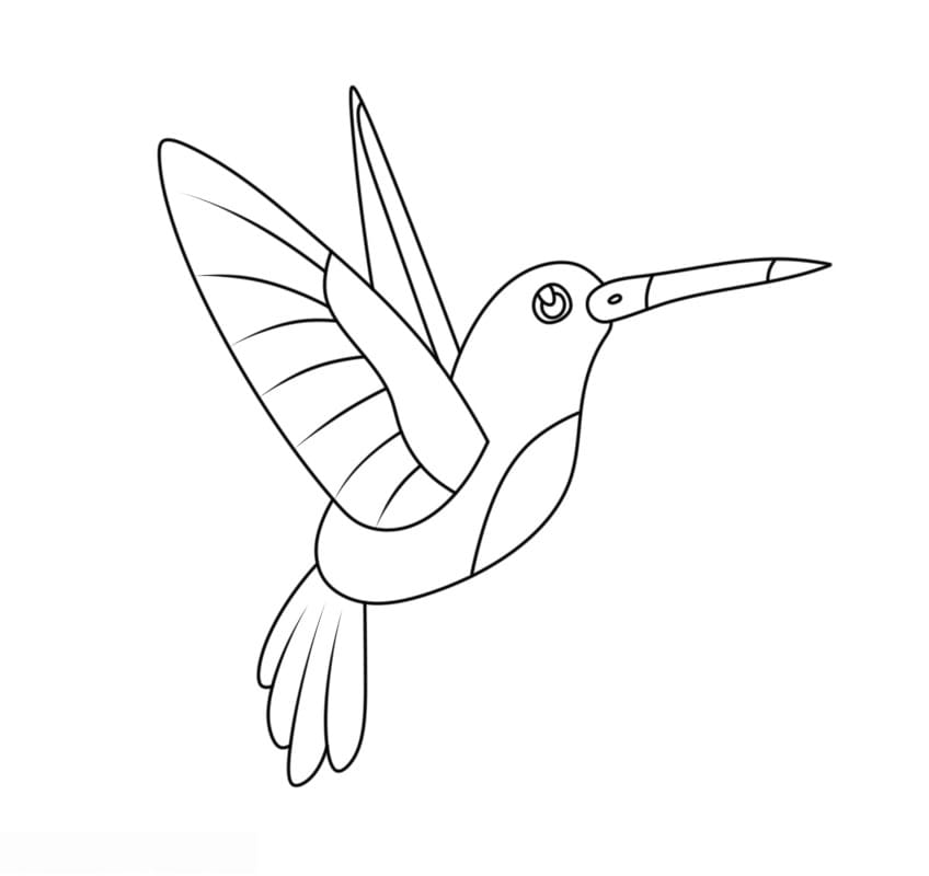 Fise de colorat cu Colibri fericit