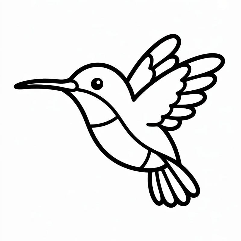 Fise de colorat cu Colibri foarte drăguț