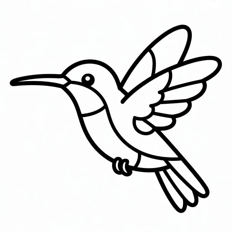 Fise de colorat cu Colibri frumos