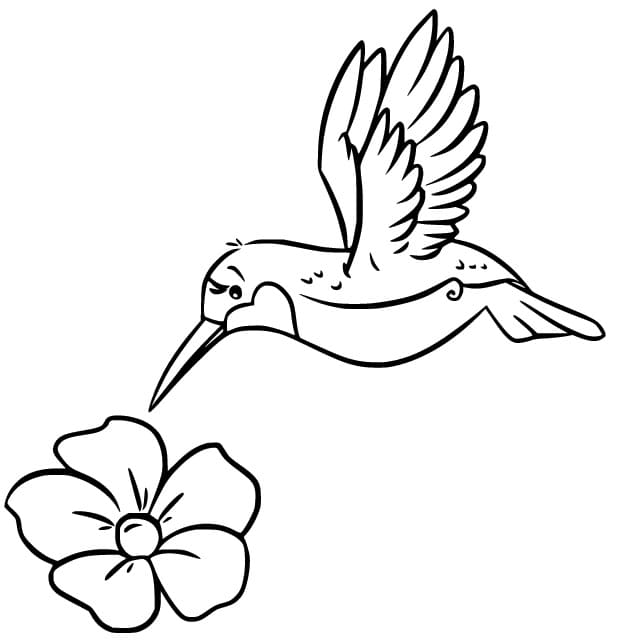 Fise de colorat cu Colibri gratuit pentru cei mici