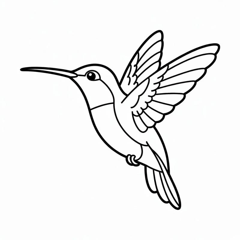 Fise de colorat cu Colibri gratuit pentru copii
