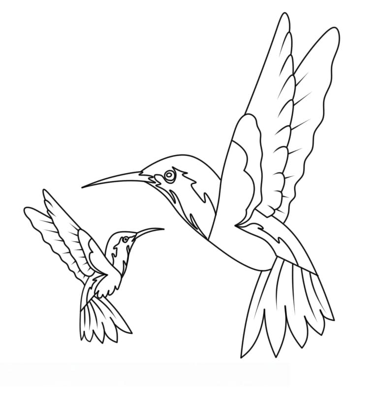 Fise de colorat cu Colibri gratuit