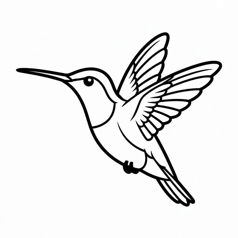 Fise de colorat cu Colibri imprimabil