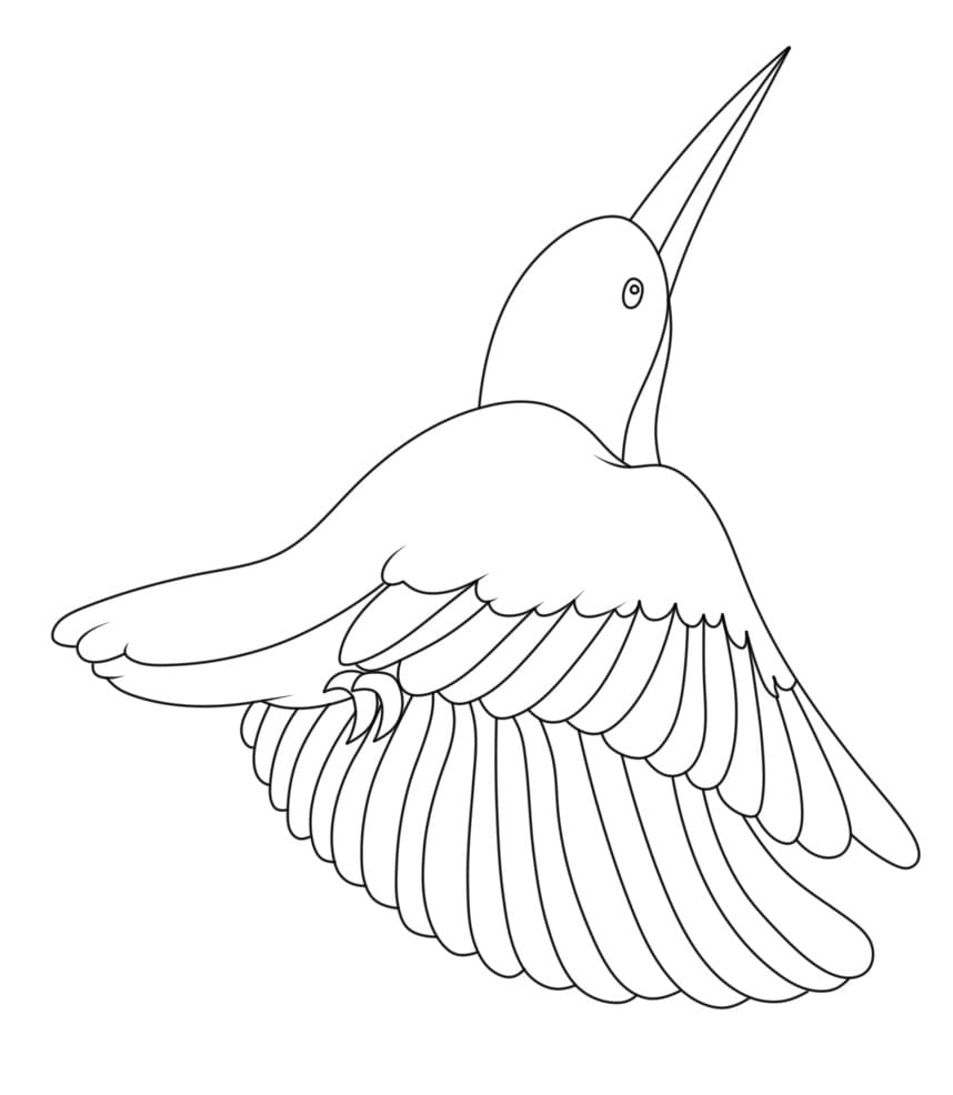 Fise de colorat cu Colibri mic